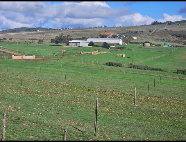 FARM FOR SALE IN MOSSEL BAY RURAL